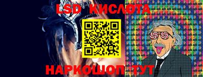 дживик Кингисепп