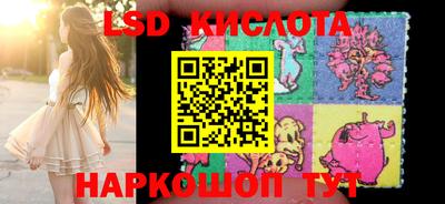 дживик Кингисепп