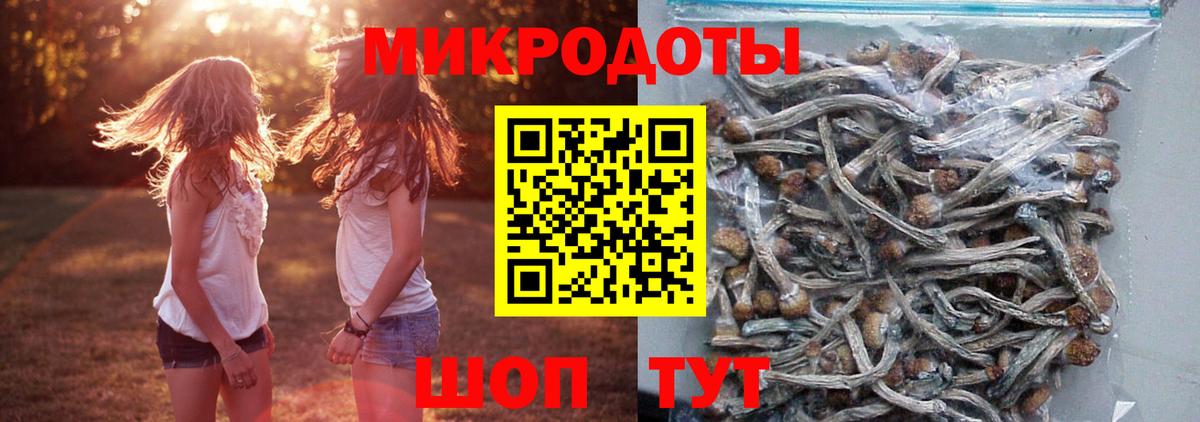 Псилоцибиновые грибы MAGIC MUSHROOMS Гусиноозёрск